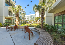 Hub Tampa